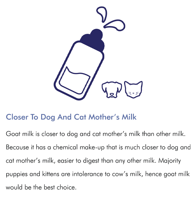 Closer To Dog & Cat Mother's Milk